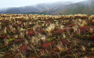 Landscape Photos : Richard Moore : Photographer